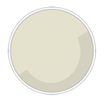Light Ivory Pigment Light Ivory Pigment