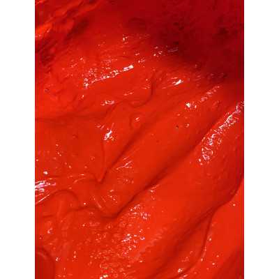 Pigment opaque orange Fluorescent 30 g de West & Senior Pigment opaque orange Fluorescent 30 g de West & Senior