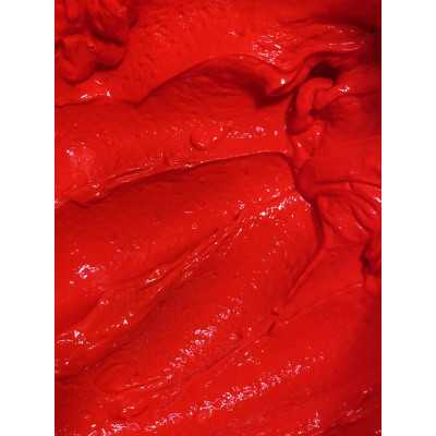 Pigmento rojo fluorescente 30 g de West & Senior Pigmento rojo fluorescente 30 g de West & Senior